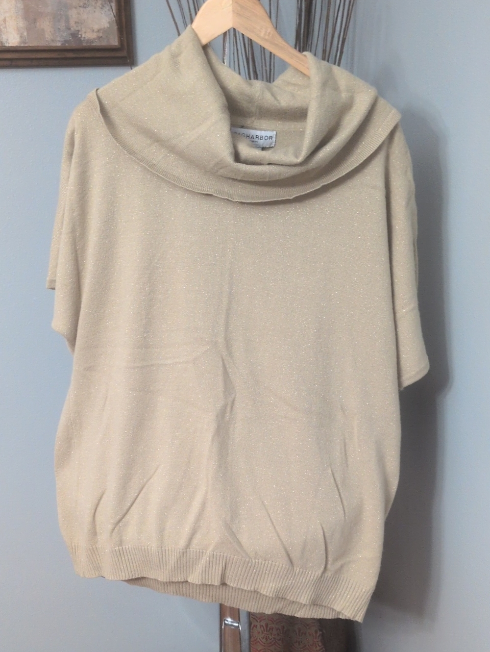 Sag Harbor Cream Gold Sparkle Cowl Neck Short Sleeve Sweater